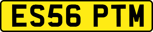 ES56PTM