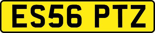 ES56PTZ