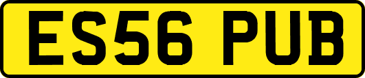 ES56PUB