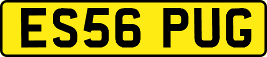 ES56PUG