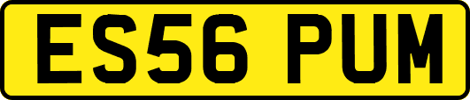 ES56PUM