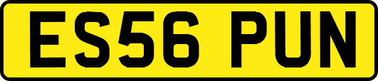 ES56PUN