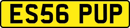 ES56PUP
