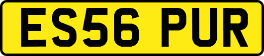 ES56PUR