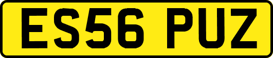 ES56PUZ