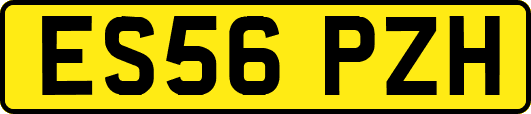 ES56PZH