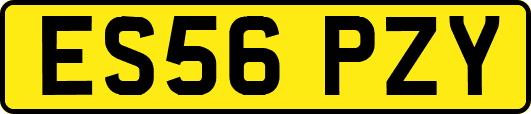 ES56PZY