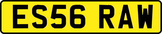 ES56RAW