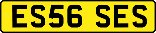 ES56SES
