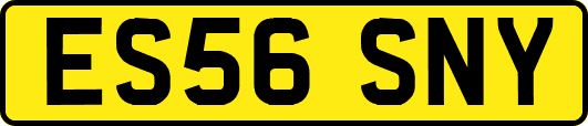 ES56SNY