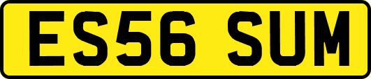 ES56SUM