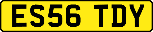 ES56TDY