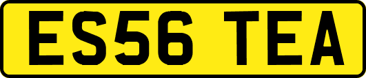 ES56TEA