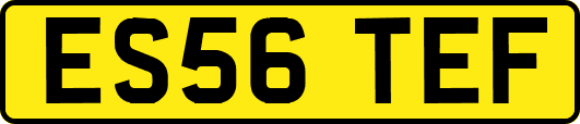 ES56TEF