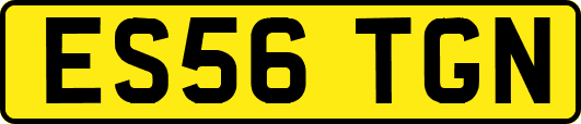 ES56TGN