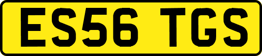 ES56TGS