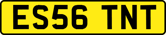 ES56TNT