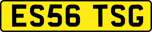 ES56TSG