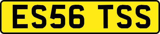 ES56TSS