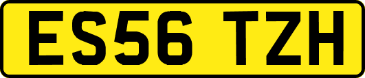 ES56TZH