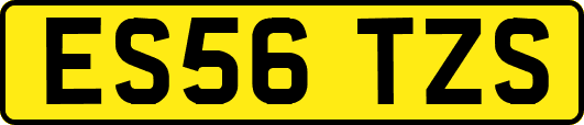 ES56TZS