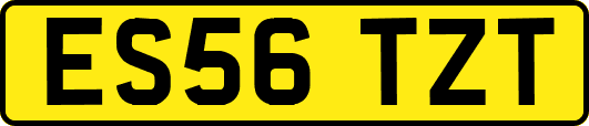 ES56TZT
