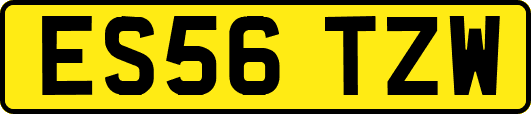 ES56TZW