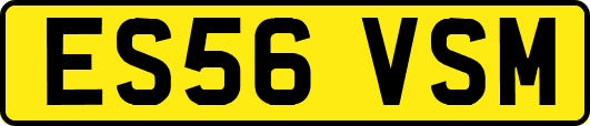 ES56VSM
