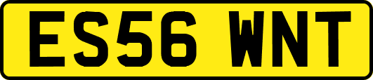 ES56WNT