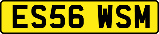 ES56WSM