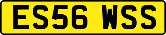 ES56WSS
