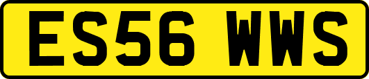 ES56WWS