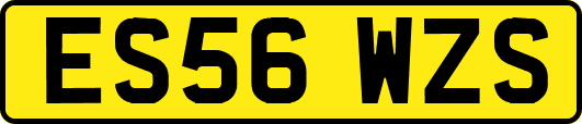 ES56WZS