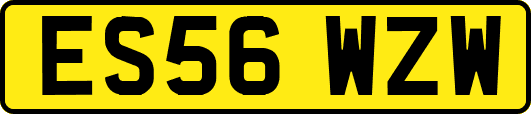ES56WZW