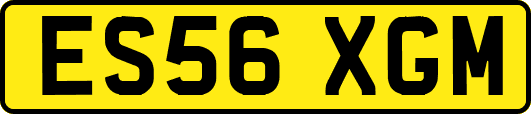 ES56XGM