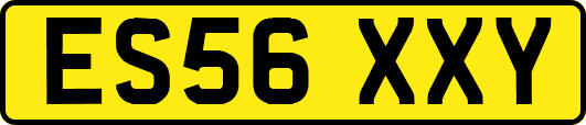 ES56XXY