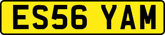 ES56YAM