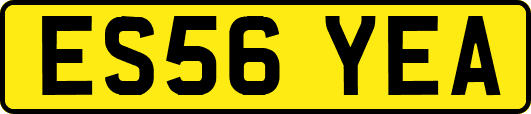 ES56YEA