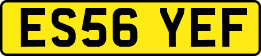 ES56YEF