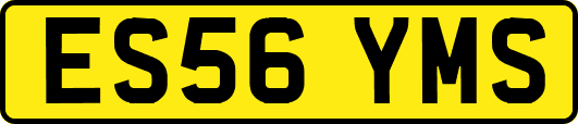 ES56YMS
