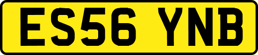 ES56YNB