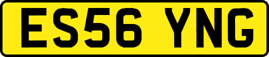 ES56YNG