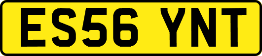 ES56YNT