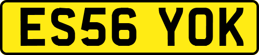 ES56YOK