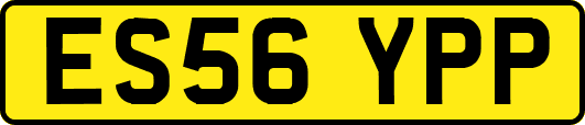 ES56YPP