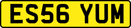 ES56YUM