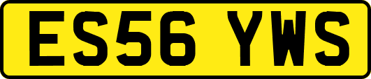 ES56YWS