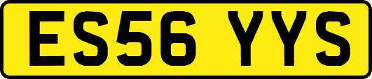 ES56YYS