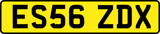 ES56ZDX