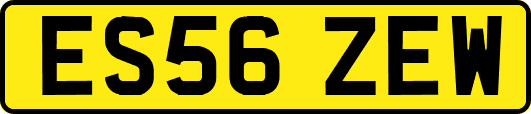 ES56ZEW
